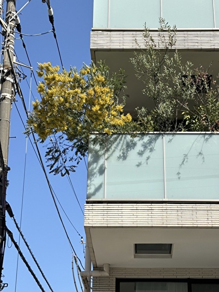 SMF4m79bcEdymbe1711848381