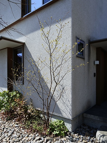 TGSf74VzghZkf201710402615