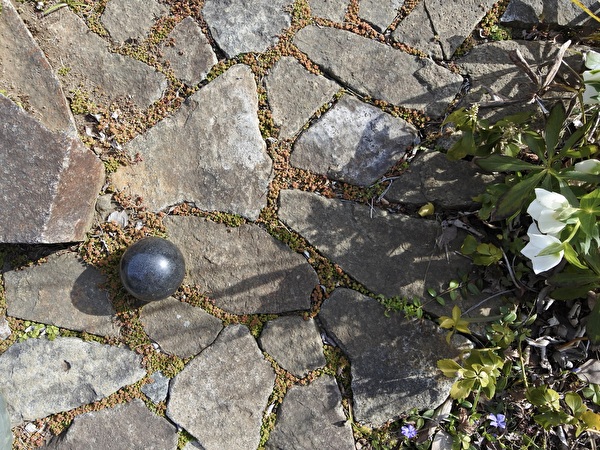 UNQIO9UUTaOGgzI1710296223