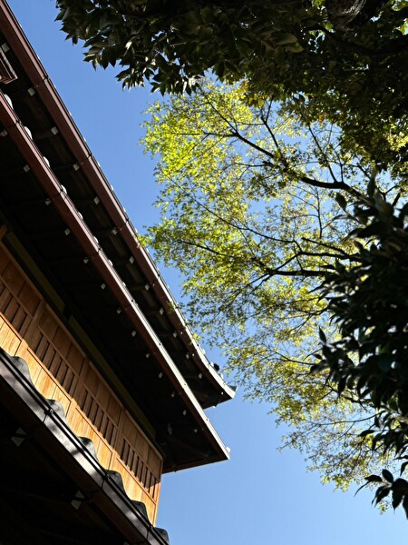 bHKH8HFNMGk4x9i1711848328