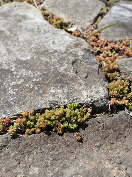 dyxp8geRqldb1JO1710296320