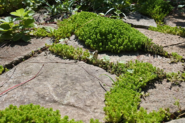 flJD16YzSVzyP7g1710296264