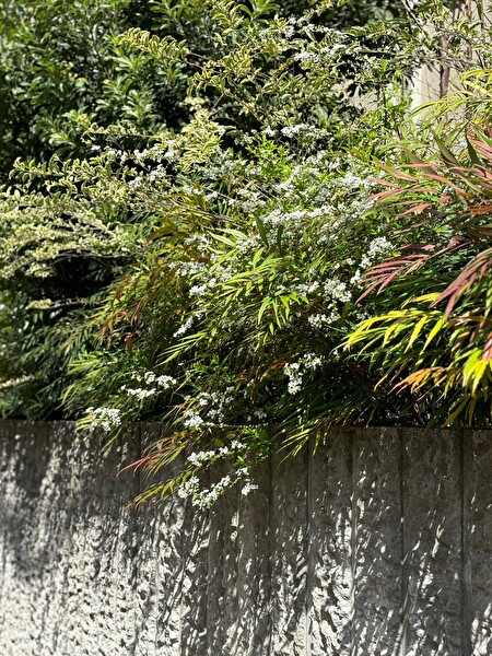 jCZkMEfMAnOkfzZ1711848255