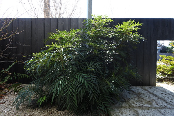 jIVuj1sDQRKqhAQ1710402695