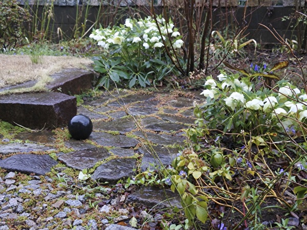 k4mJDqkdpcoGb751711608650