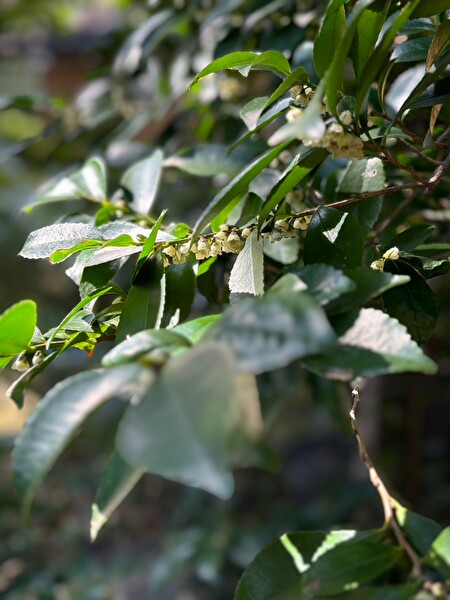 lGEJ1R2OY2lHAXZ1711848284