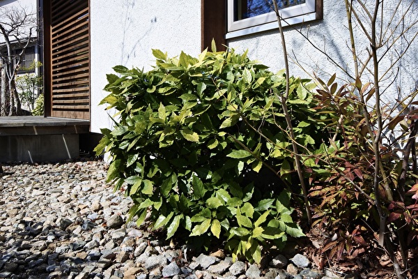 nkitZ30JlC0zXmo1710402677