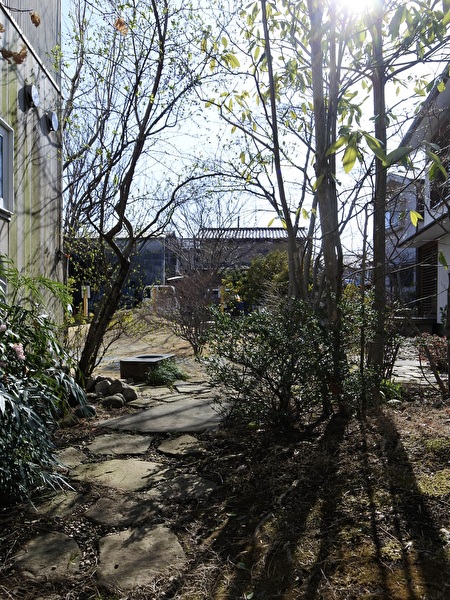 rjHAEbS9NbXwrhs1710402633