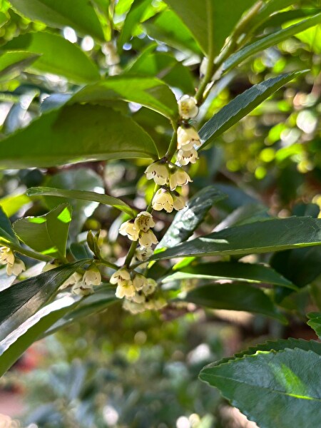 y8IlS9s0LWUpywI1711848300