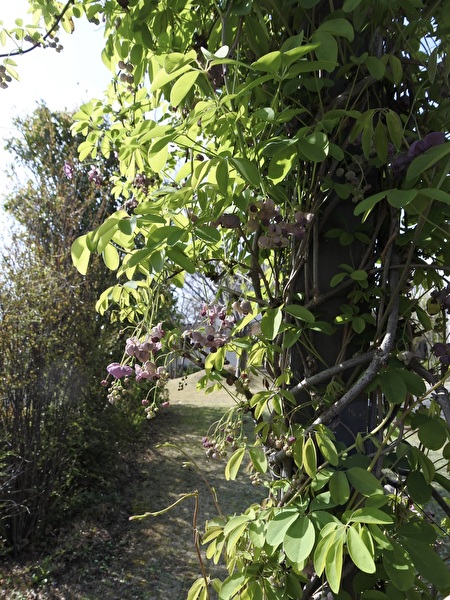 CzFeWq8GU8HdZG61712475674