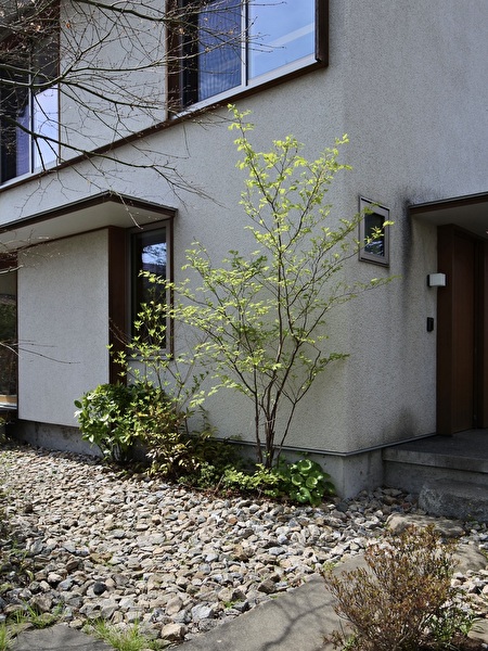 jaASK5zAUIMjWFv1712475647