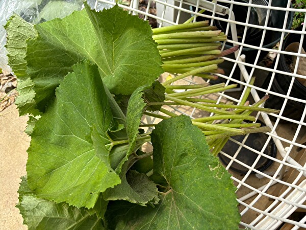 mQir0oRTTjkMJrx1713745987