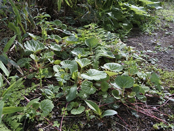 uMYIoLOGWfHBfFF1713745936