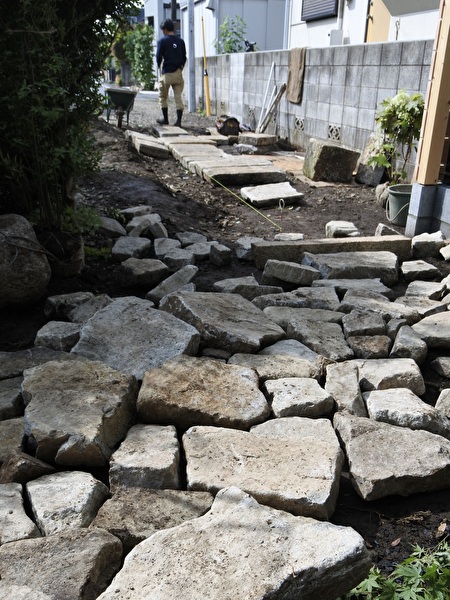 3SJ8HocIE8UulGe1716367386