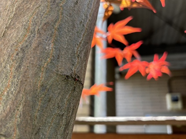 Mw7BbQwt1HaiTPt1714706645