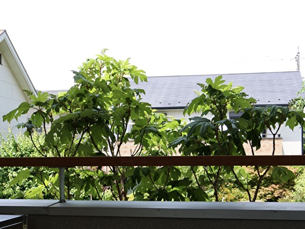 bv8eKDK9Vdbnn921715759467