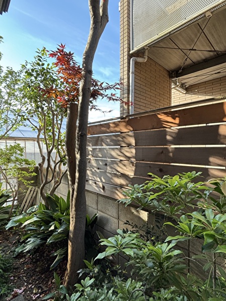 zmaDq06P8MpzW0b1714706688