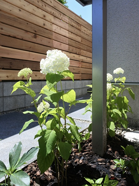 0I5AL5TatuaqSJX1717632825