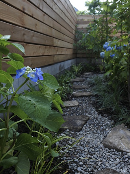 5yTRf2M5W8fbiri1717632982