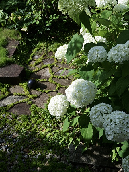 BY8YKYRxbv9tgPg1718071679