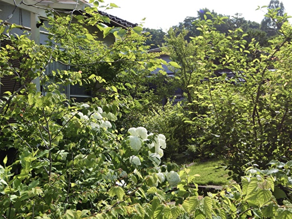 ZqxM7j4Ak1avfa41718071596