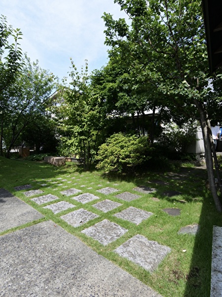 DvZ1KJtx64YYkoY1722068420