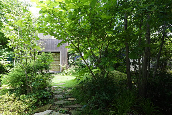 9年目のダンコウバイ