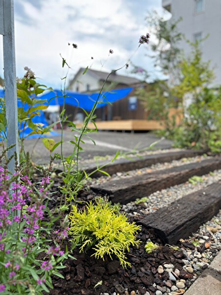 uBIRqcnyJqs5FRh1721695219