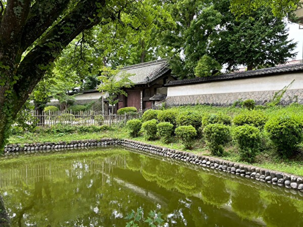 BvyonxDpMo6aBzo1724032173