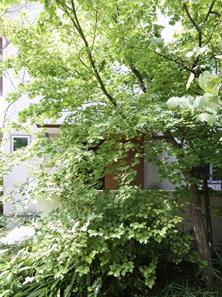 C66R8FVEy8QYjJw1724461852