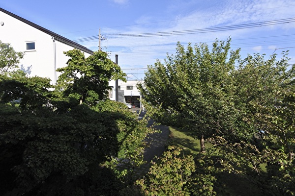 酷暑を乗り越えて、つむじ蒼蒼