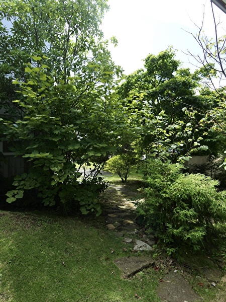 KBDm4s3WCACjpIx1724461837