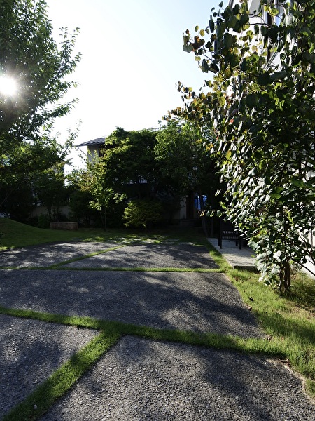 kxBo5QPlpHd61021724461973