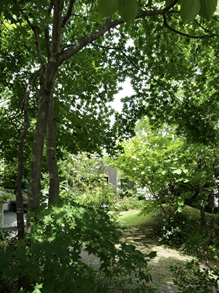 yrglskNZg2O6Wj41724461892