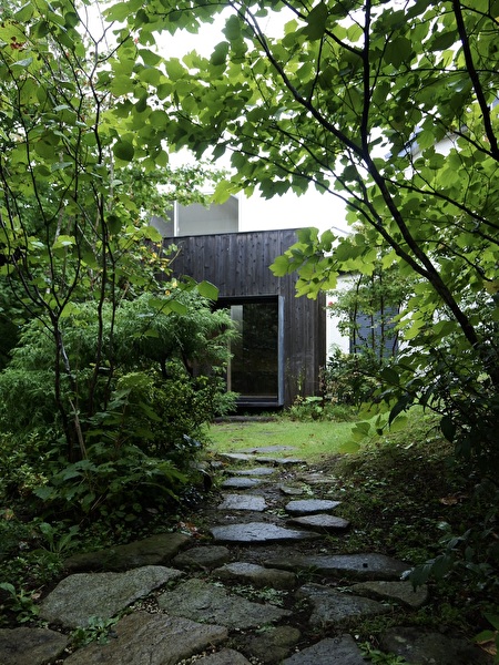 62QpSJGJhTLtVc81726990841