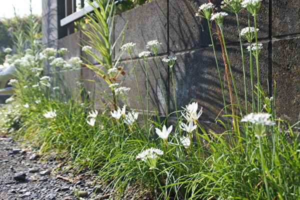 O20vIGy004ekaSZ1725604482