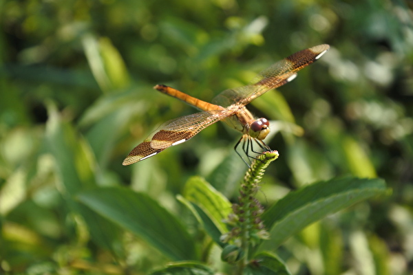 SHGBSc3k625R4at1725604538