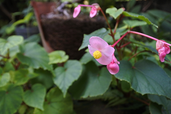 eFavr9vuKL1B7ei1725604462