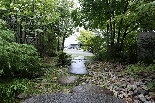 oAV5SJOuzrygVYx1726990766