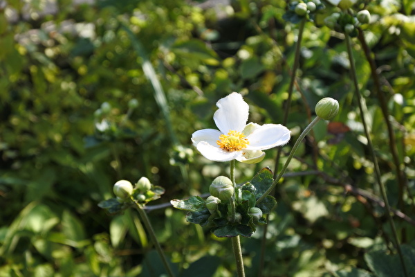 uitbEVVPZQ8bj8B1725604520