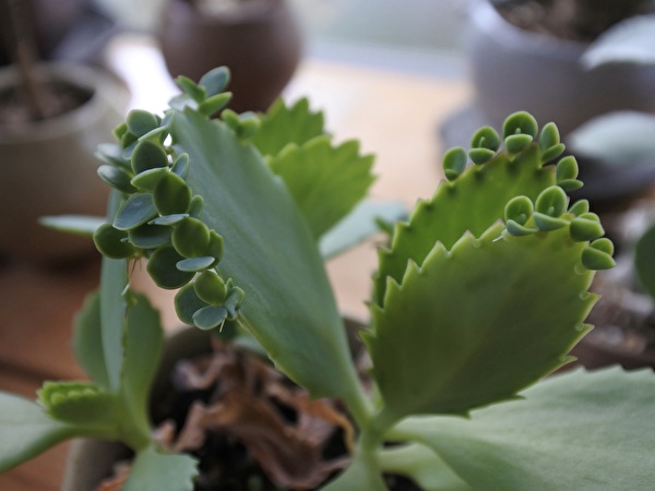 RbTCM7fpfyPDydO1729656842