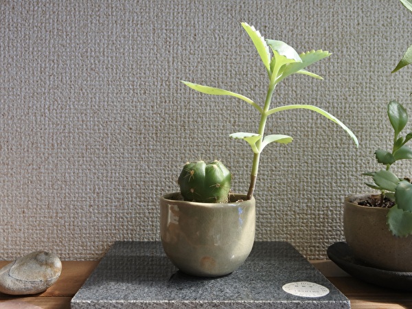 b3Tvr5gFMhFxvTK1729656750