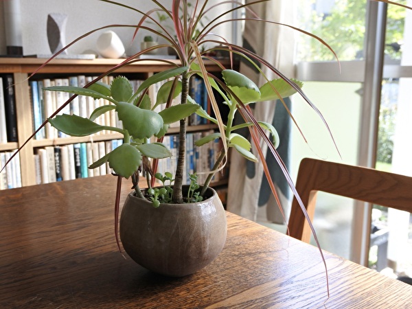 tNUUJMAkpzEWVH21729656794