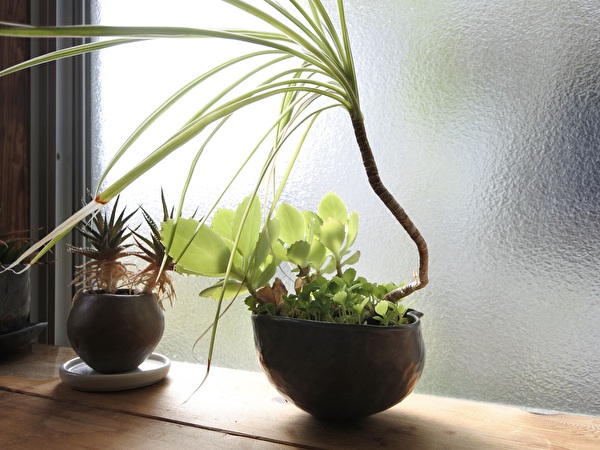 wGx8DgjIJvOTArL1729656821