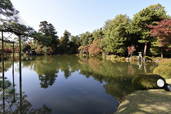 1r1lxxUNZ7ZxzSd1731719127