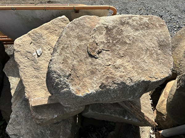 CpRrITv6jtXF6c21730508766