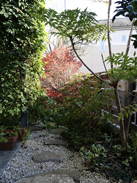 QpdA4RgmThqpGGc1732863811