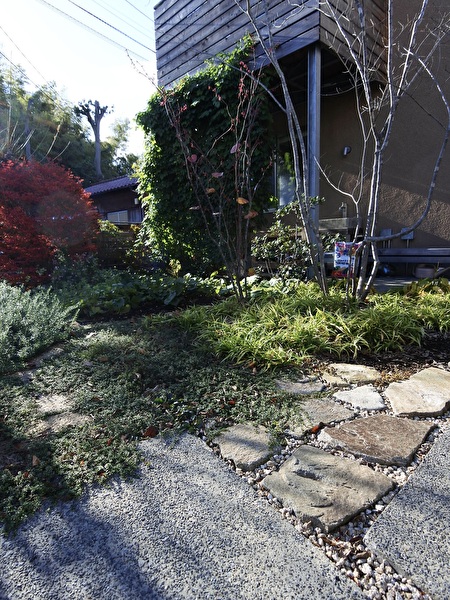 VA67IXu0NMbT3iI1732863764