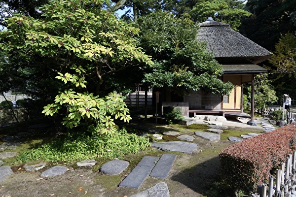 WZ3uSnoNihBNbwO1731719430