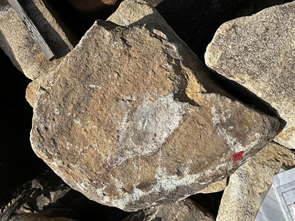 gEwvvGEQiB1ltey1730508806